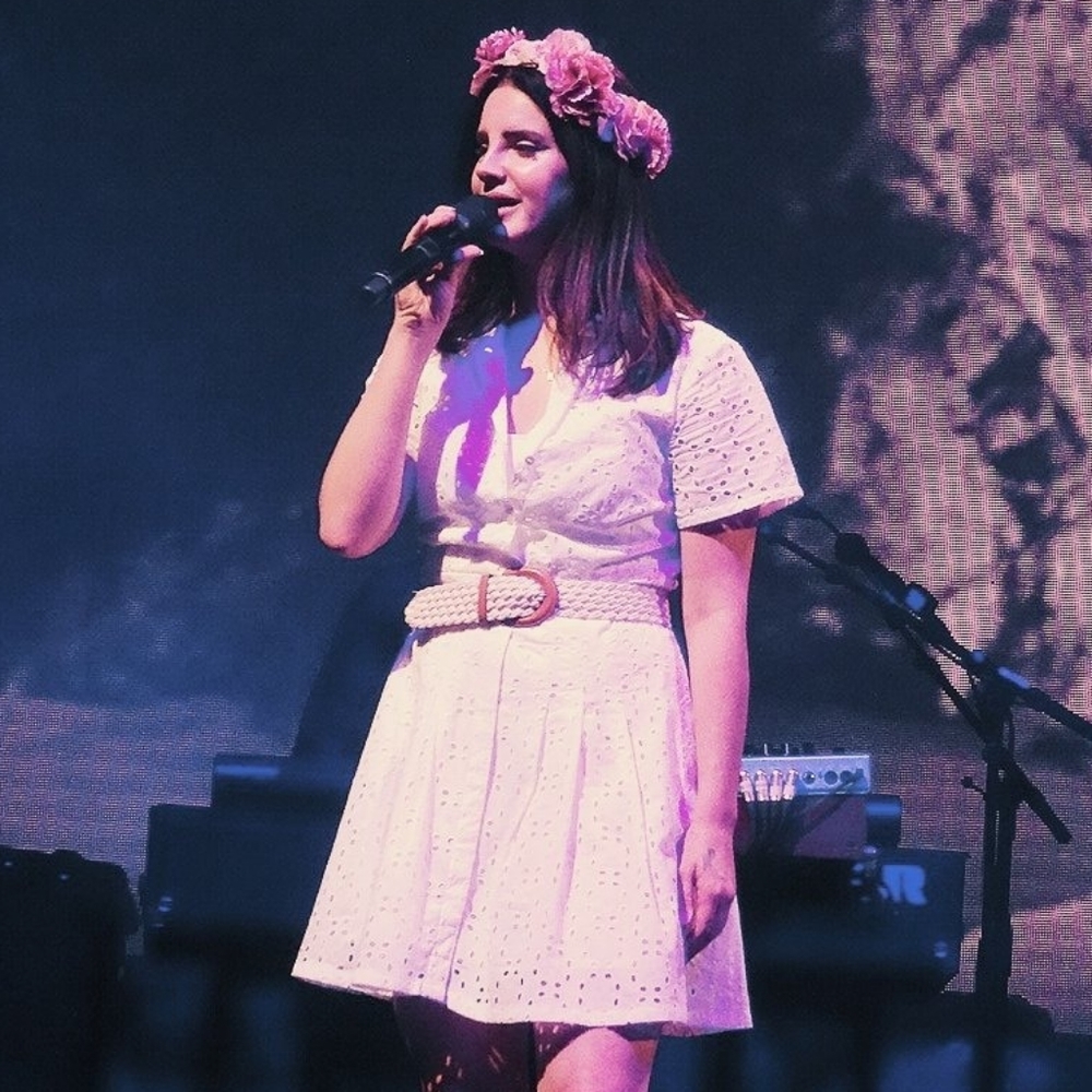 SOLD Lana Del Rey dress - Picture 7 of 10